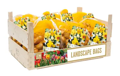 Landscape Bag Narcissus Mixed Colours