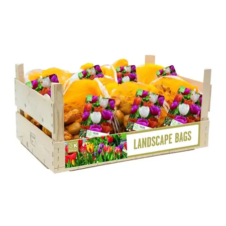 Landscape Bag Tulip Single Early Prince Mixed Colours