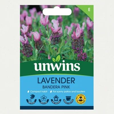 Lavender Bandera Deep Pinknew