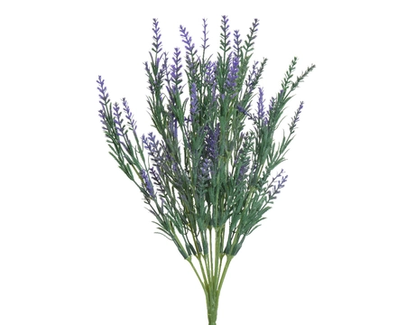 Lavender Bunch - image 1