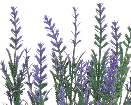 Lavender Bunch - image 2