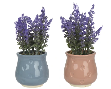 Lavender Dolomite In Vase 2Col Asst. H.20Cm