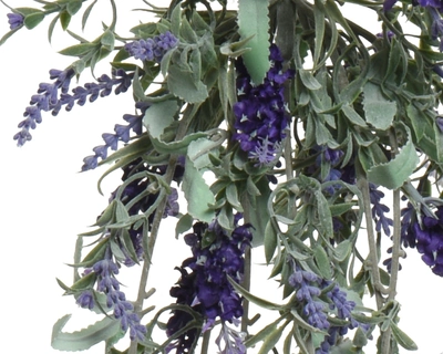 Lavender Hanging L80Cm - image 2