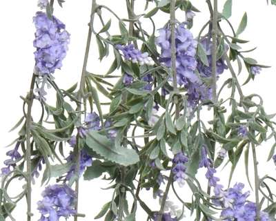 Lavender Hanging L80Cm - image 4