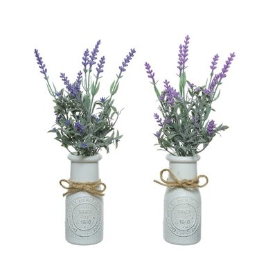 Lavender In Pot Pe Asst H32cm Purple