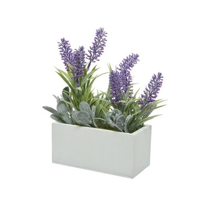 Lavender In Pot Plastic H26cm Purple