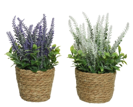 Lavender Plastic Assorted dia12-H26cm