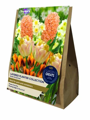 Layered Planter Collection Gg