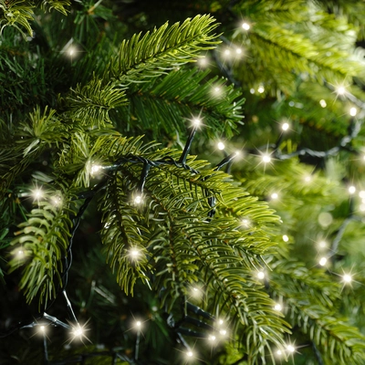 Led Compact Twinkle L  Green/Warm White 1100Cm-500L - image 5
