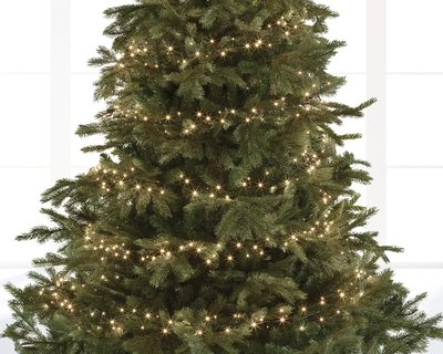 Led Compact Twinkle L  Green/Warm White 1100Cm-500L - image 2