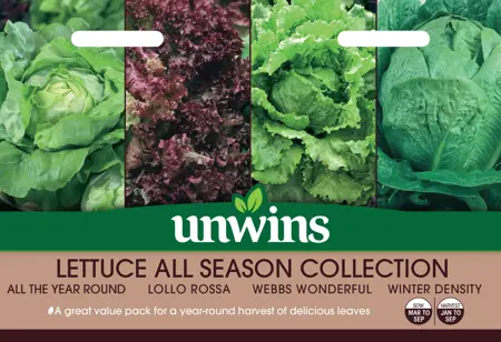 Lettuce All Season Collection Pack - image 1