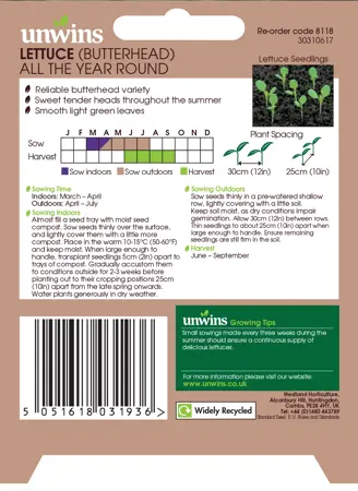 Lettuce (Butterhead) All The Year Round - image 2