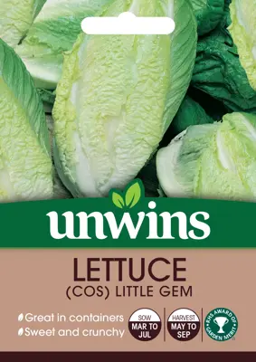 Lettuce (Cos) Little Gem - image 1