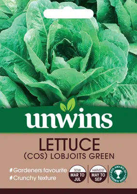 Lettuce (Cos) Lobjoits Green - image 1