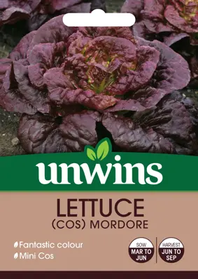Lettuce (Cos) Mordore - image 2