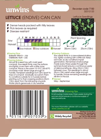 Lettuce (Endive) Can Can - image 2