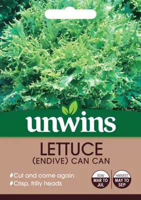 Lettuce (Endive) Can Can - image 2