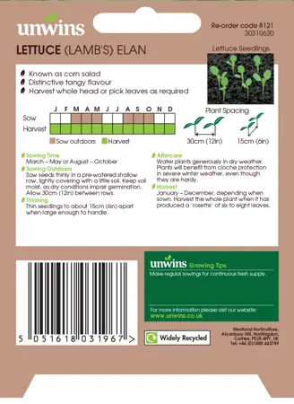 Lettuce (Leaves) (Lamb's) Elan - image 2