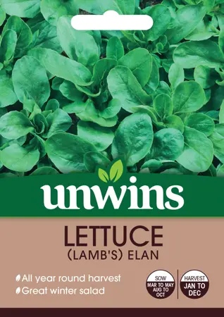 Lettuce (Leaves) (Lamb's) Elan - image 1
