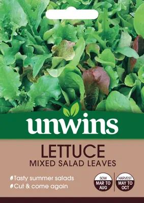 Lettuce (Leaves) Mixed Salad Leaves - image 1