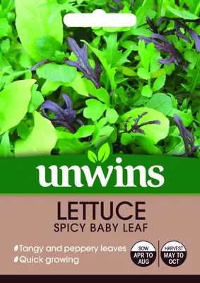 Lettuce (Leaves) Spicy Baby Leaf - image 1