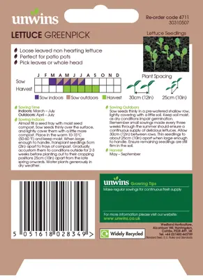 Lettuce (Loose) Greenpick - image 2