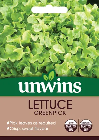 Lettuce (Loose) Greenpick - image 1