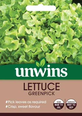 Lettuce (Loose) Greenpick - image 2