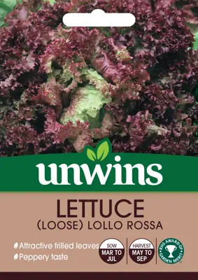 Lettuce (Loose) Lollo Rossa - image 2