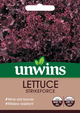 Lettuce (Loose) Strikeforce - image 1