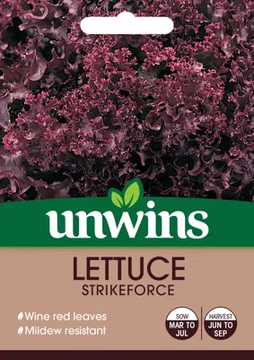 Lettuce (Loose) Strikeforce - image 2