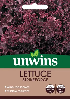 Lettuce (Loose) Strikeforce - image 1