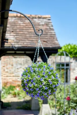 Lily Ball 30cm - image 1