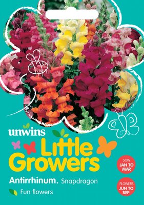 Little Growers Antirrhinum Snapdragon - image 2