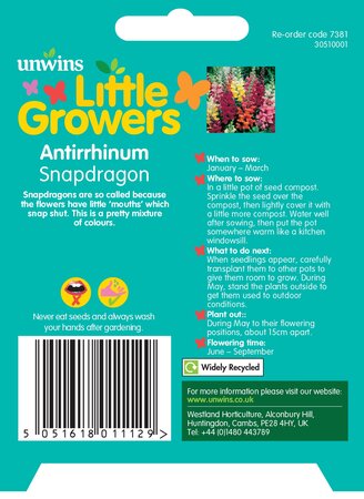 Little Growers Antirrhinum Snapdragon - image 2