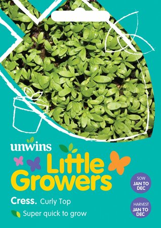 Little Growers Cress Curly Top - image 1