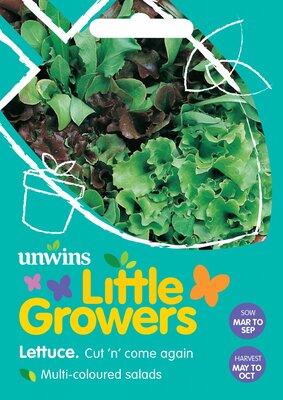 Little Growers Lettuce Cut n' come again - image 1