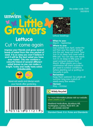 Little Growers Lettuce Cut n' come again - image 2