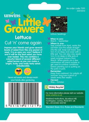 Little Growers Lettuce Cut n' come again - image 2