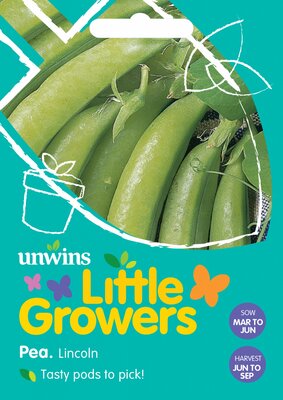 Little Growers Pea Lincoln - image 2