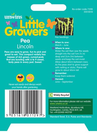 Little Growers Pea Lincoln - image 2