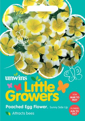 Little Growers Poached Egg Flower Sunnyside - image 1