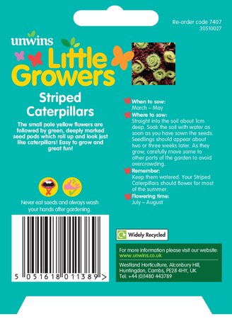 Little Growers Striped Caterpillars - image 2