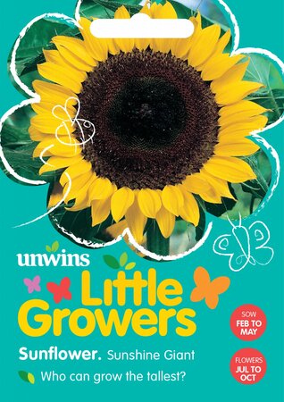 Little Growers Sunflower Sunshine Giant - image 1