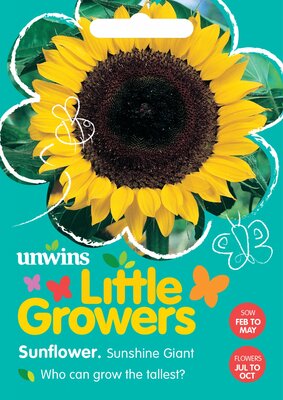 Little Growers Sunflower Sunshine Giant - image 2