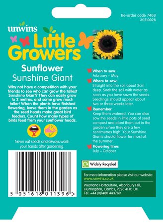 Little Growers Sunflower Sunshine Giant - image 2