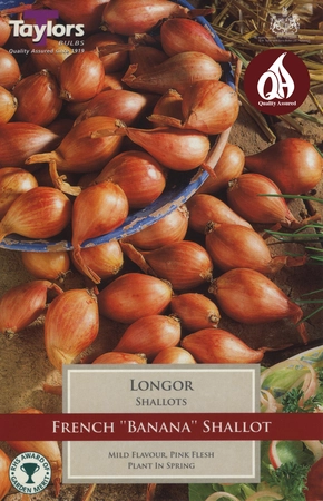 Longor French Shallot 15-35