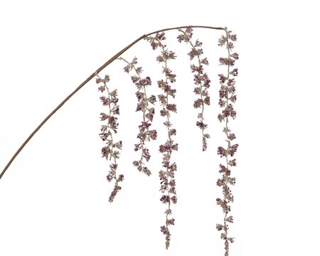 LVR Willow Plastic Glitters Pink