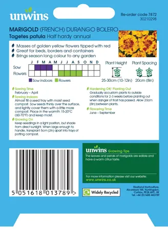 Marigold French Durango Bolero - image 2