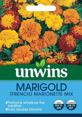 Marigold French Marionette Mix